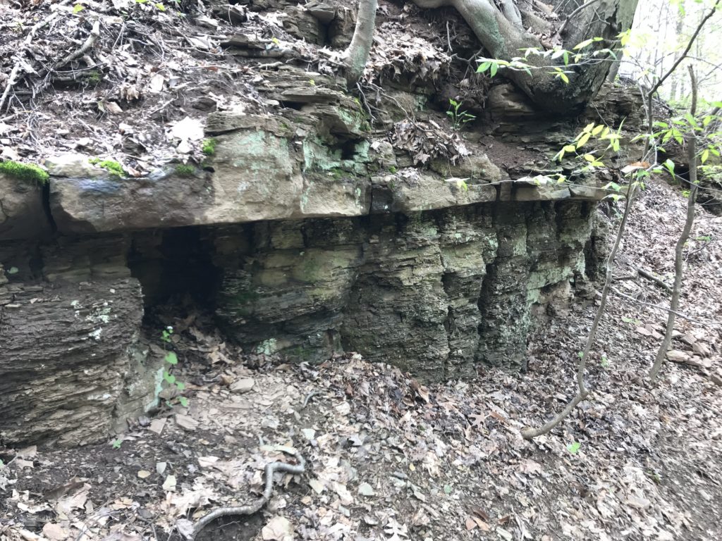 Ames Limestone in Frick Park