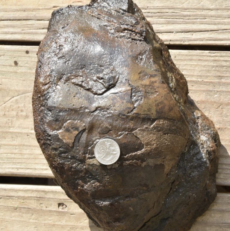 Pennsylvanian Cephalopods from the Glenshaw Formation of Western