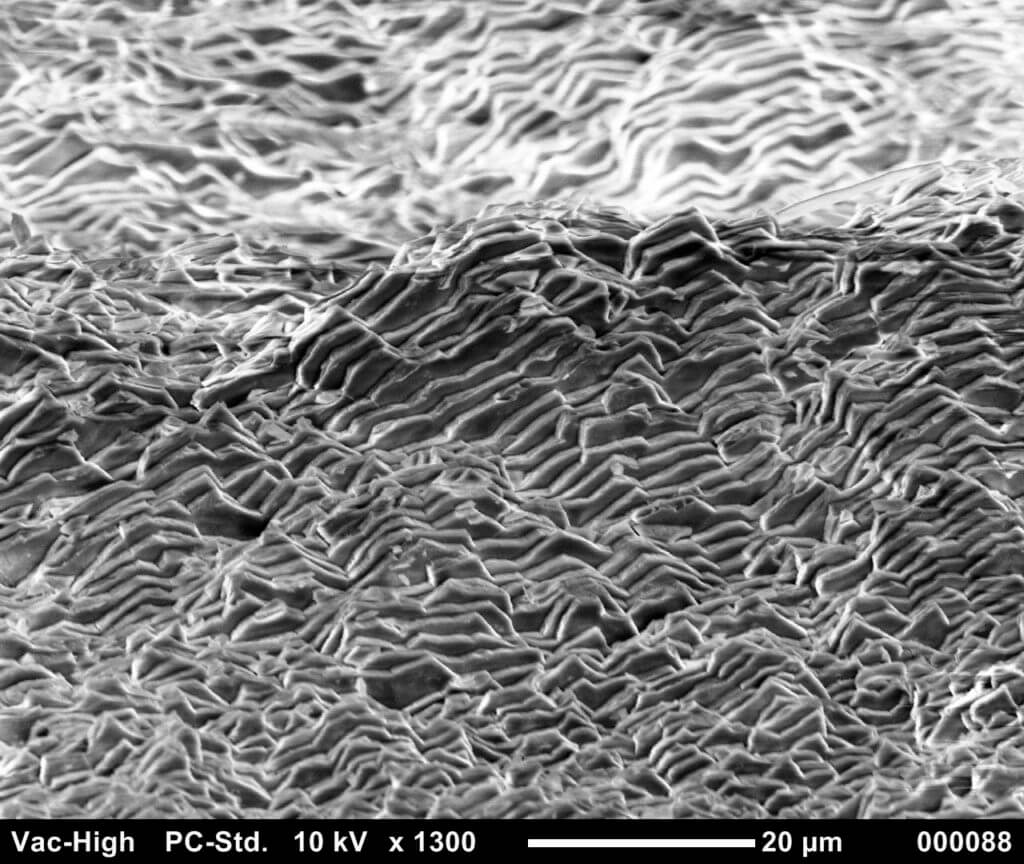 Electron microspope image of Aragonite layers.