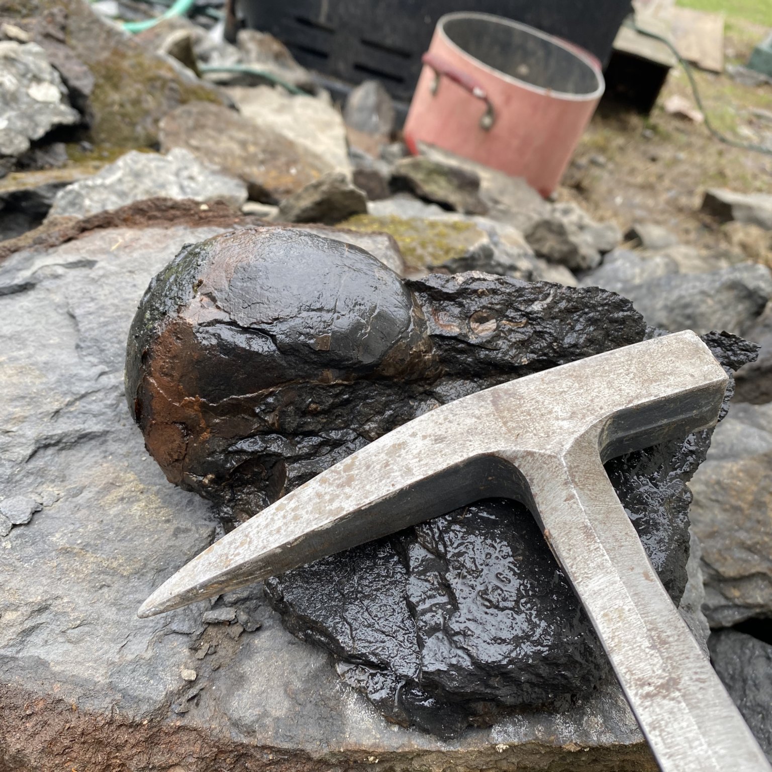 Fossil Hammers and other Geological Tools Fossils of Parks Township