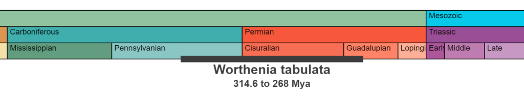 The temporal range of Worthenia tabulata.