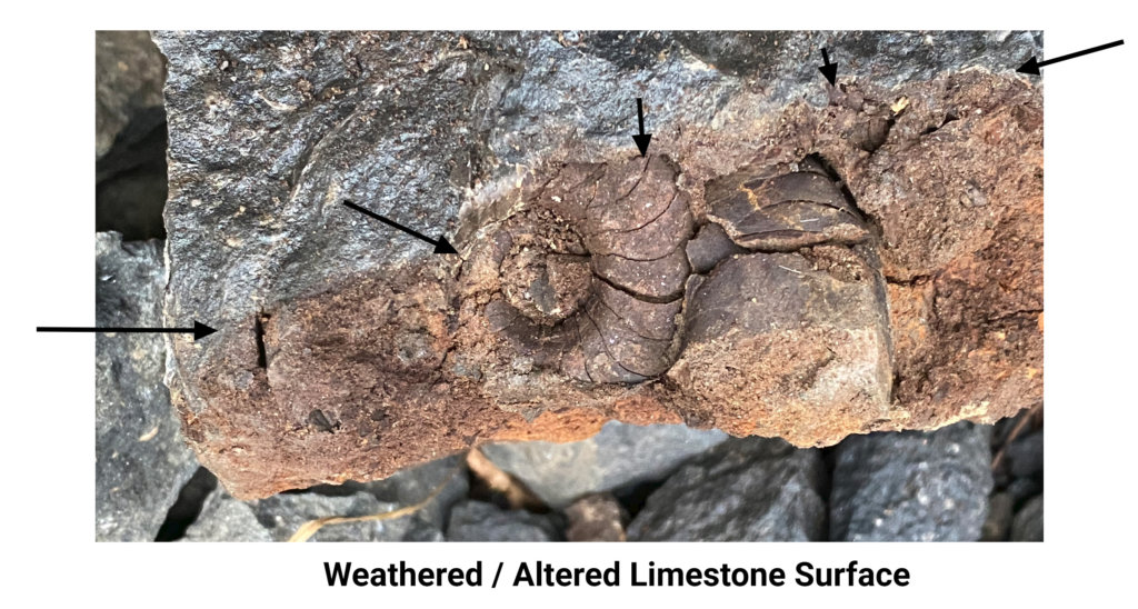 Limestone Weathered Surface