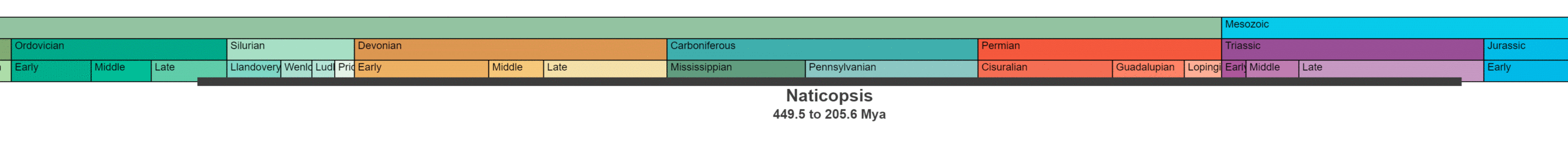 Temporal range of Naticopsis, 449.5 to 205.6 million years ago. Data sourced from Fossilworks that I suspect is incorrect.