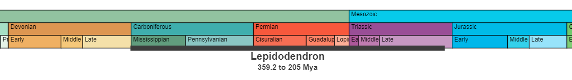 The temporal range of Lepidodendron is 359.2 to 205 million years ago.