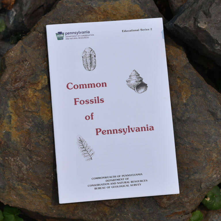 Common Fossils of Pennsylvania Fossils of Parks Township