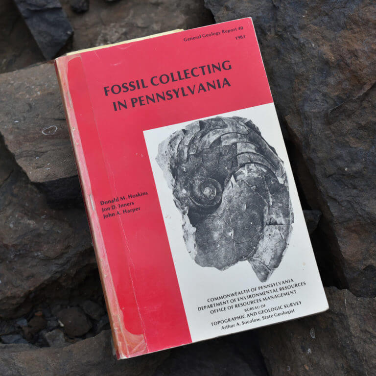 Common Fossils of Pennsylvania Fossils of Parks Township