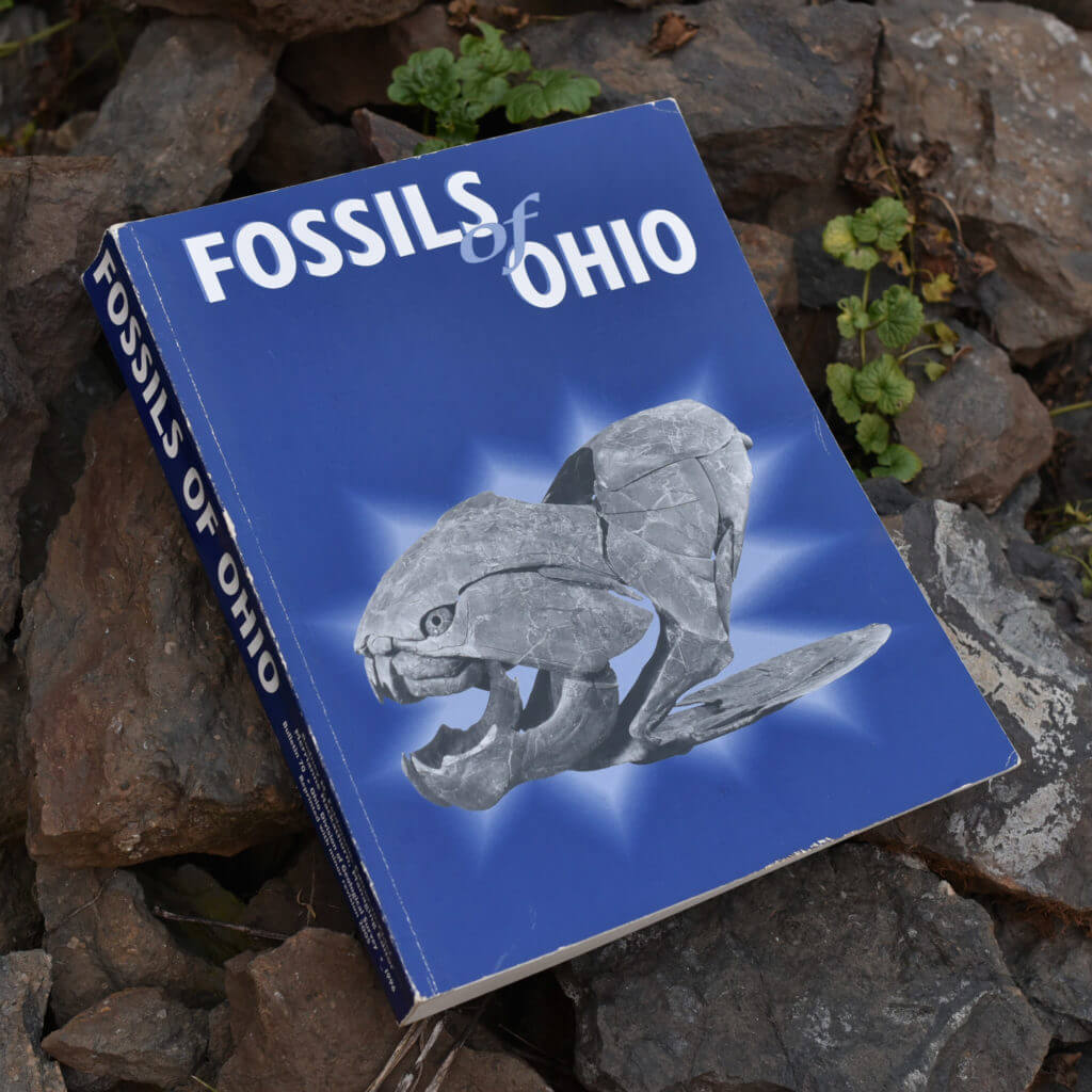 Fossil Publications for Pennsylvania, Ohio, and West Virginia