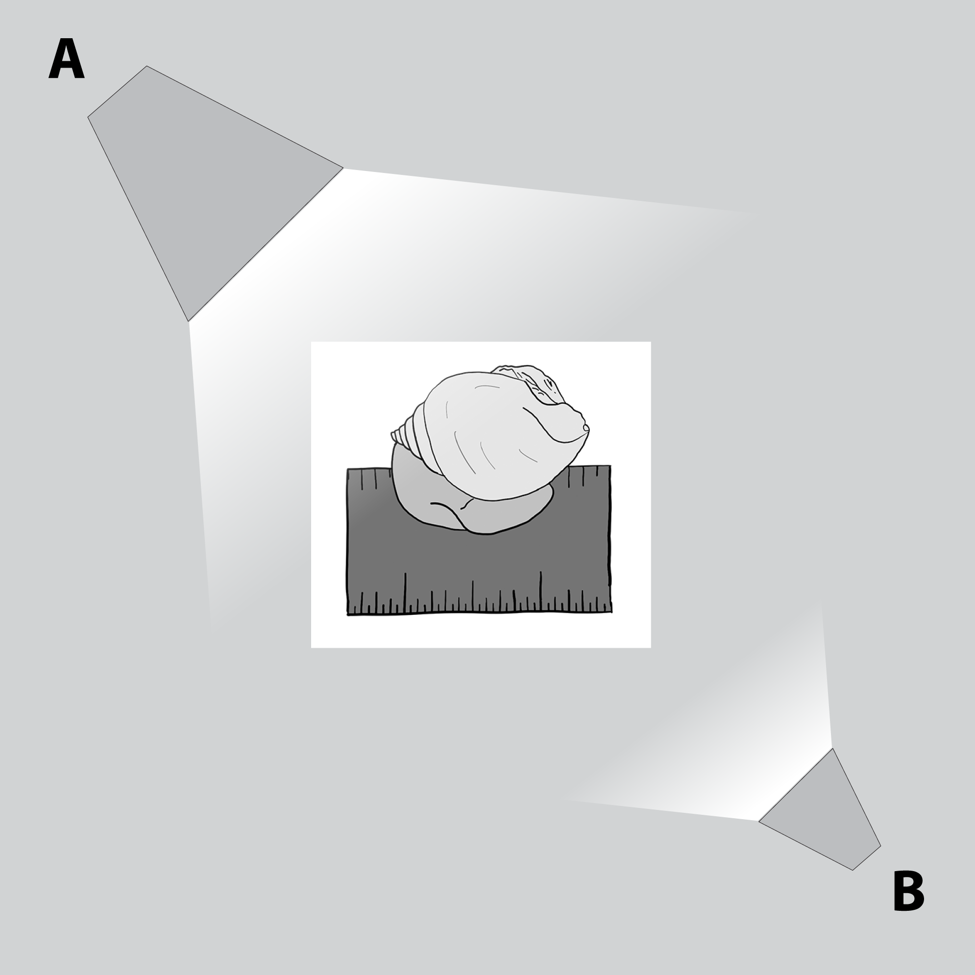 Typical layout for high-contrast photography.